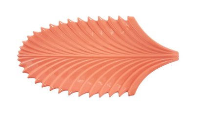 Coral Reef Tray